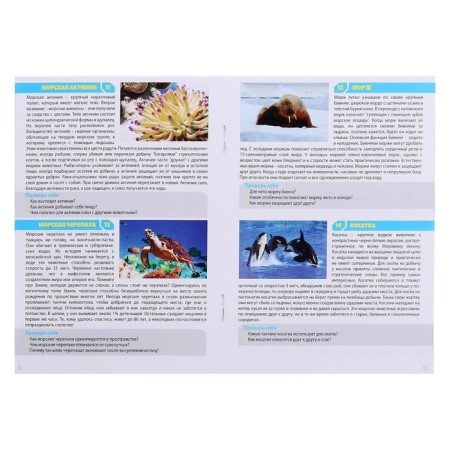 Board game "Memo. Water World "-4