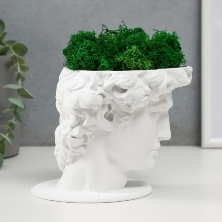 Concrete Kashpo "David" with moss white 11.5x15.5x12 cm (moss green stabilized)-1