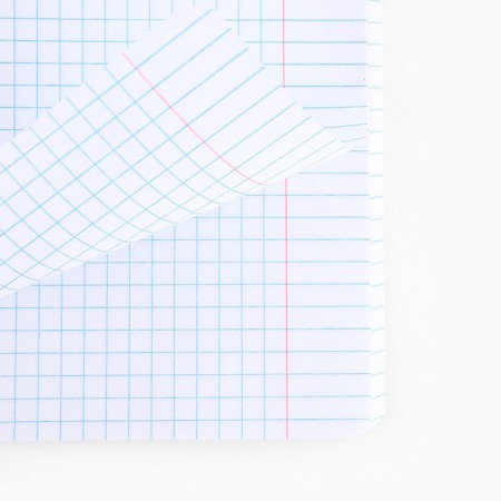 Notebook in a cage, 48 sheets A5 on a paper clip 5 pcs., Inner block No. 1 Mix “September 1: a cat with the paws” Twin Laca, UV lacquer-2
