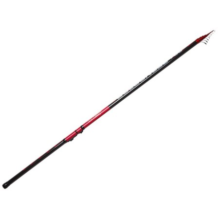 The float rod with the rings of Team Salmo Bolognes, test 2-15 g, length 7 m.