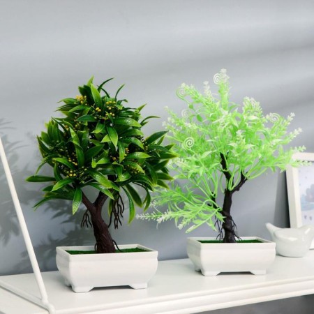 Bonsai in the pot "bright tree" 10x20 cm, mix-2