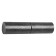 Loop "Sibin", 20x110 mm, tattooed, cylindrical, with a putty ball