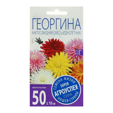 Georgin flowers are a cacti -shaped mixture, o, 0.2 g