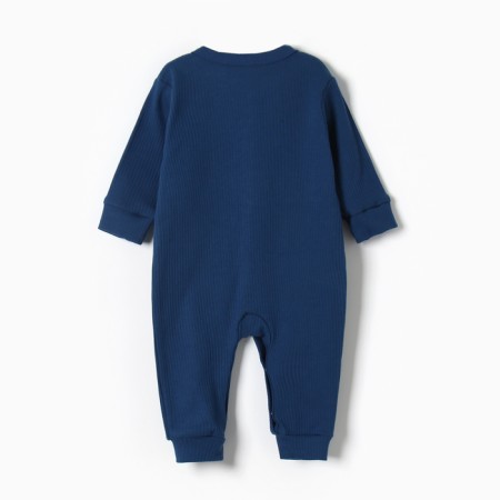 Combineson crumb I am Blueberry p. 62-68, blue-4