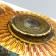 Sticker Plastic Interior 3D "Golden Flowers" 52x35 cm