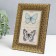 Photo frame plastic 10x15 cm "Golden petals of chamomile" black 19.5x14.5 cm