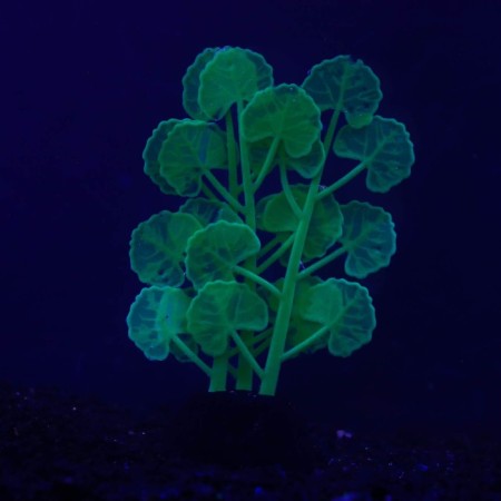Silicone Aquarium plant, glowing in the dark, 7 x 11 cm, green-1
