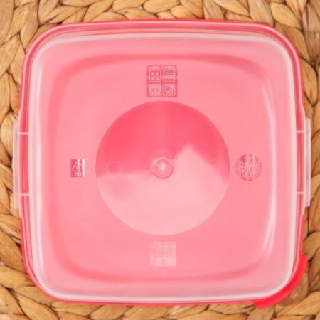 A set of food containers "Cascade", 2 pcs: 460 ml, 1 l, color mix-3