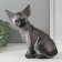 Figure "Kitten Sphinx" 22 x 10 x 21 cm.