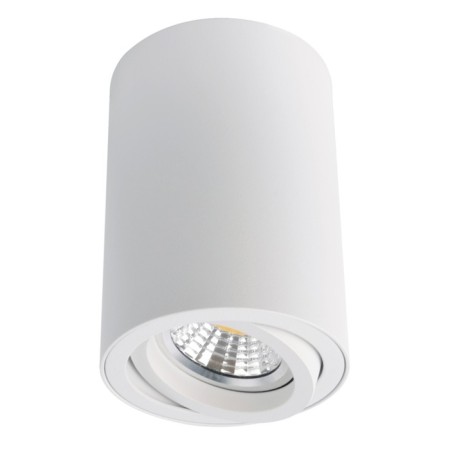 Sentry lamp, 1x50W GU10, white color