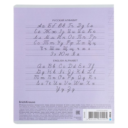 Notebook 12 sheets in the slanting line of Erichkrause CoverPro classic, plastic cover, offset block, mix-9