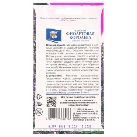 Flower seeds Alissum "Violet Queen", 0.1 g-1
