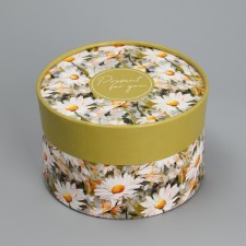 Gift box, packaging, 