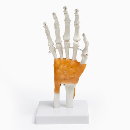 Model "Human Business" 22*12cm-4