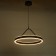 Salerno Light LED 60W 3000-6000K black and gold 50x50x100 cm