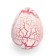 Growing animals in an egg with white spraying No. 2 "Dinosaurian Country"