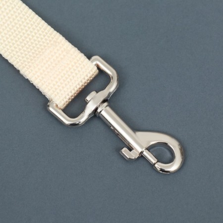Leash 1.2 m x 2.5 cm, beige-1