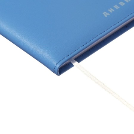 Universal diary for grade 1-11 Modern Concept, solid cover, artificial leather, silkography, liesse, 80 g/m2-2