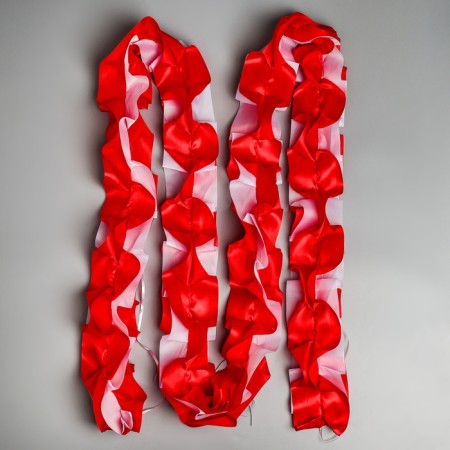 Set on the car "Guest" elite tape with an angle on the hood, 4 bows on pens, red-1