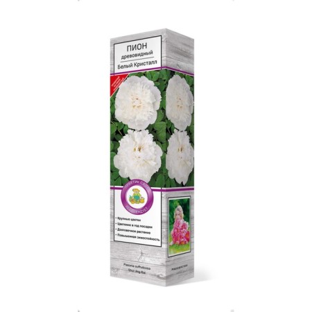 PION of tree -like (vaccinated for grassy) "white crystal", 1 pc, tube, spring 2025-3