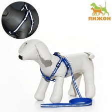 Sports set a reflective, leash 120 x 1 cm, fire 22-39 cm, mix of flowers