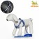 Sports set a reflective, leash 120 x 1 cm, fire 22-39 cm, mix of flowers