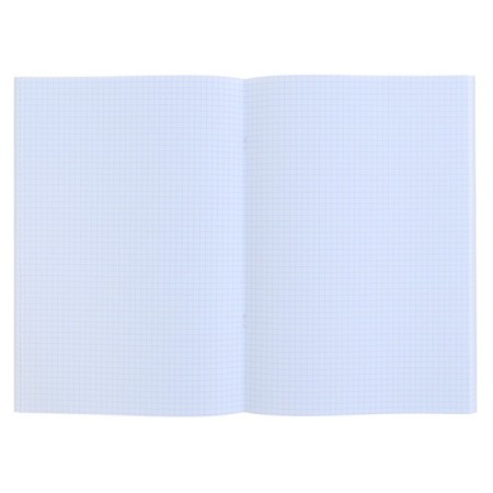 A4 notebook, 96 sheets of the Gold. Metallic cage, Bumvinyl, OFSET block-1