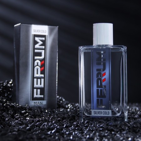 Men's toilet water Ferrum "Silver Cold’, 100 ml