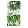 Seeds Cucumber "Gerasim", F1, 10 pcs. + "Mumu", F1, 10 pcs.