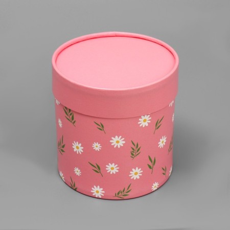 Set of hats 4 in 1, gift packaging, “chamomile”, 12 x 12 - 20 x 20 cm-7