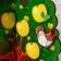 Magnetic game "Apple tree. Seasons"