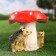 Garden figure "Mushroom Fleeter with Hedgehogs" 20x23x23cm