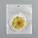 Stickers Plastic "Flower Assorted" set 60 pcs 10x12 cm