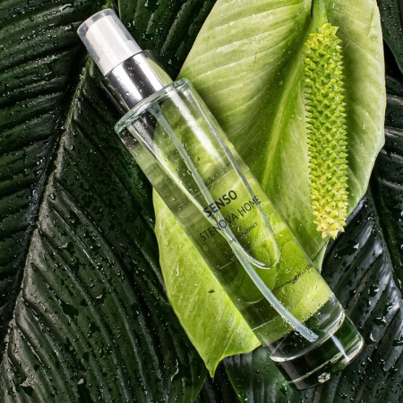 Aromatic spray for the home Stenova Home Senso, 100 ml