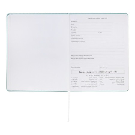 Universal diary for grade 1-11 Modern Concept, solid cover, artificial leather, silkography, liesse, 80 g/m2-4