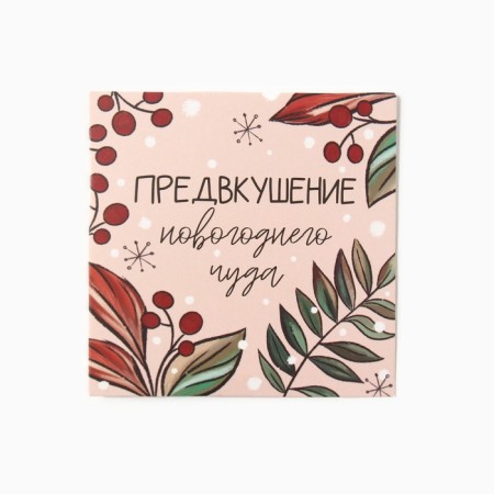 Набор подарочный Этель "Бельчонок" полотенце 30х60см и аксс (5 предм)-10