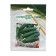 Cucumber seeds "Phoenix Plus", 10 g