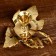 Leonardo candlestick brass 16x16x7 cm