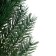 Decor "Branch of Fluffy spruce"