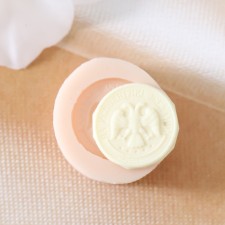 Mold Silicon Coin 