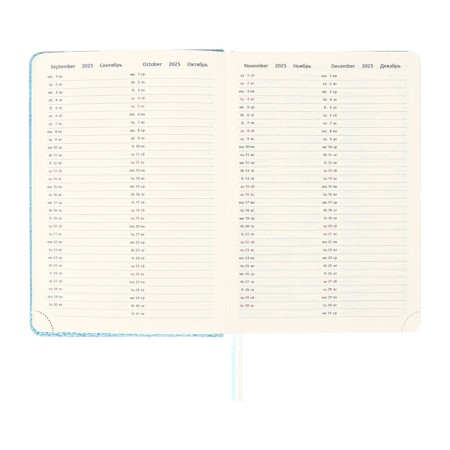 Dated diary of 2025 A5, 168 sheets, DEVENTE. Barbara, a solid cover of leatherette with foam, perforation, liesse, block 70, blue-11