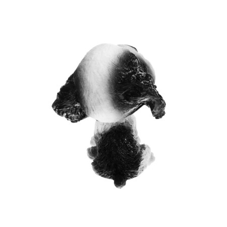 Dog on a car panel shocking his head, spaniel-2