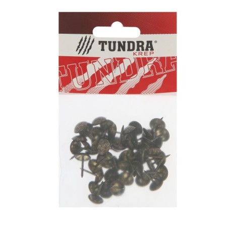 Tundra nails, decorative, 11x17 mm, antique bronze, 50 pcs-4