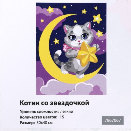 Picture on numbers on a canvas with a subframe "Kit with a star", 30 x 40 cm-3