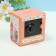 Piggy bank Plastic "Safe. Princess" MIX 8.5x6x8.5cm