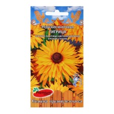 Flowers of Rudbekia Tensor 