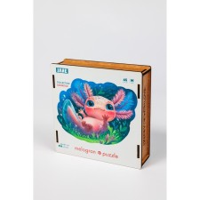 Figure puzzle 