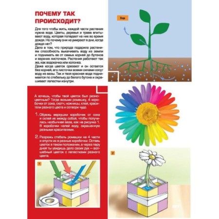 Large children's 4D Encyclopedia with augmented reality-8