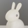 Night -bearing "Bunny" LED from 3xlr44 batteries is white 8x11x14 cm
