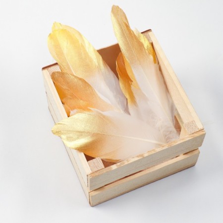 Feathers for decor, gold, partial color 13-15 cm 10 pcs-2